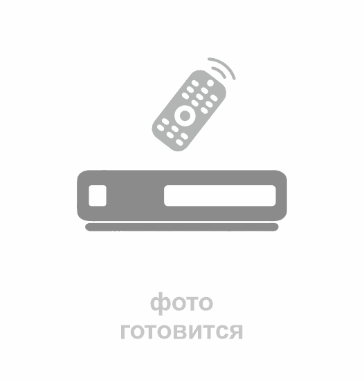SmartBuy Светодиодный пластиковый фонарь 9 LED (SBF-AF007-K)