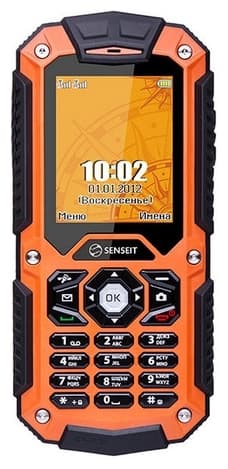 Main image of Senseit P10