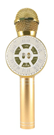 Микрофон-караоке WSTER WS-669 (золото)
