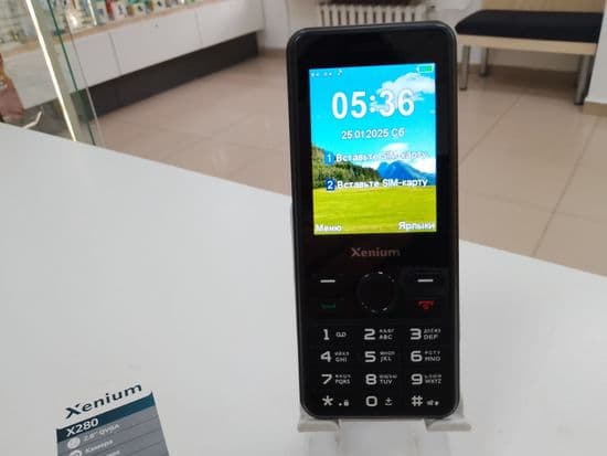 Фото 4: Xenium X280 по адресу г. Нижний Тагил, пр-т Вагоностроителей, 21