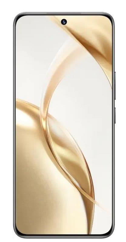Main image of Honor 200 8/256GB