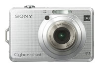 Sony Cyber-shot DSC W100