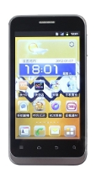 ZTE V880E Dual